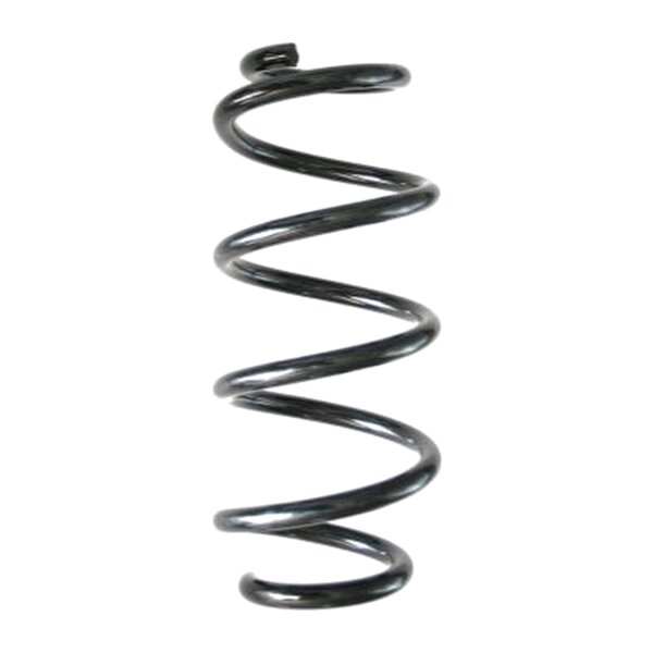 SPIDAN GKNW10192 Fahrwerksfeder hinten
