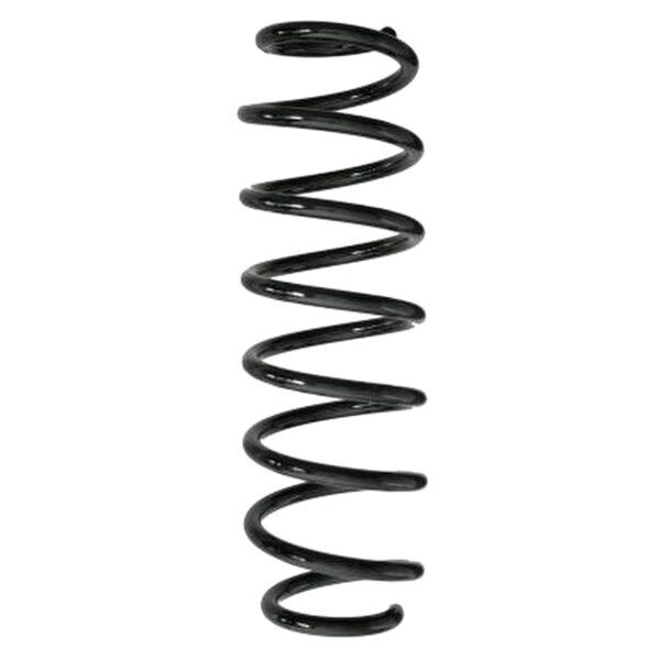 SPIDAN GKNW10200 Fahrwerksfeder hinten