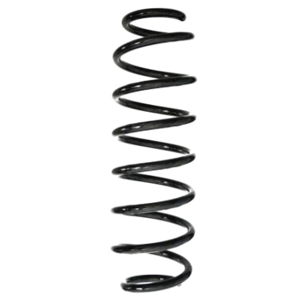 SPIDAN GKNW10201 Fahrwerksfeder hinten