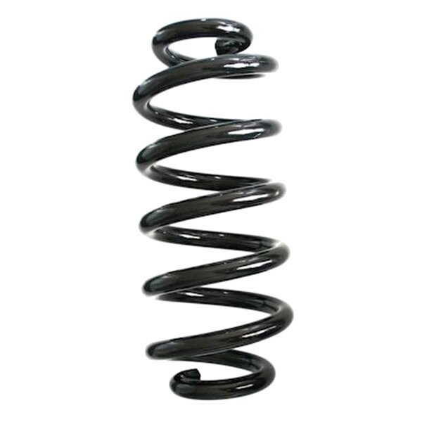 SPIDAN GKNW10207 Fahrwerksfeder hinten