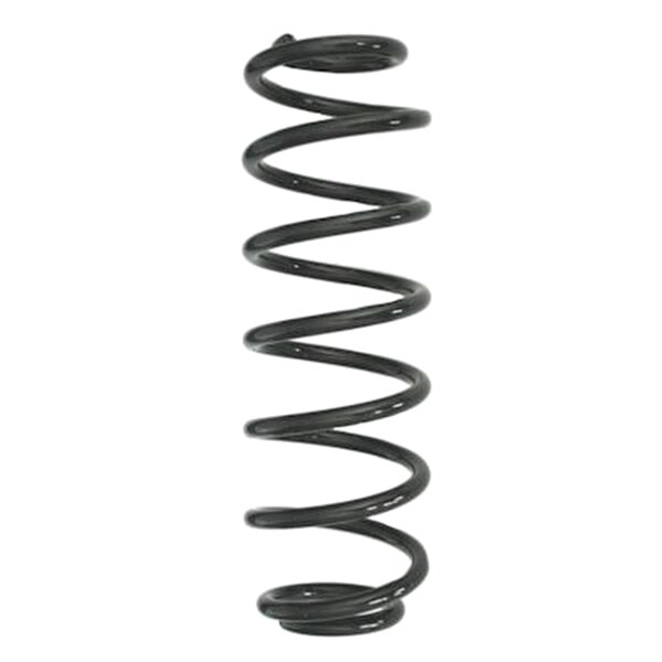 SPIDAN GKNW10212 Fahrwerksfeder hinten