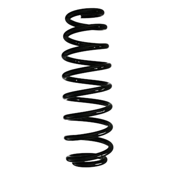 SPIDAN GKNW10213 Fahrwerksfeder hinten