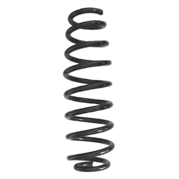 SPIDAN GKNW10214 Fahrwerksfeder hinten