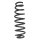 SPIDAN GKNW10214 Fahrwerksfeder hinten