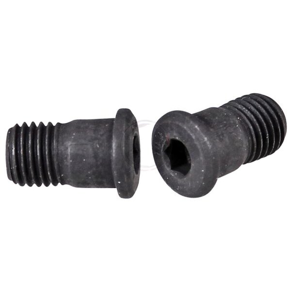 Brake disc bolt M10 x 1.25 hexagon socket metal A.B.S. for e.g. ALFA