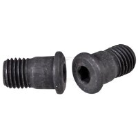 Brake disc bolt M10 x 1.25 hexagon socket metal A.B.S....