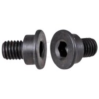 Brake disc bolt M8 x 1.25 hexagon socket metal A.B.S. for...