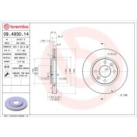 2 Bremsscheiben innenbelüftet Ø 244 mm 20,5 mm BREMBO für u.a. RENAULT 21