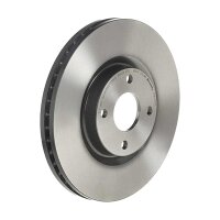 2 Bremsscheiben innenbelüftet Ø 300 mm 25 mm...