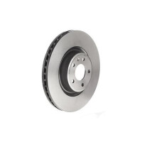 2 Bremsscheiben innenbelüftet Ø 338 mm 30 mm...