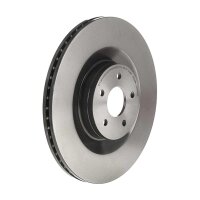 2 Bremsscheiben innenbelüftet Ø 350 mm 25 mm...