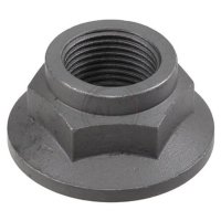 Nut axle pin rear ABS for LANTRA I