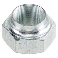 Nut axle journal M24x1.0 36 with right-hand thread A.B.S....