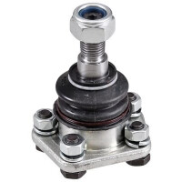 Support and guide joint cone dimension 16.7 mm MM14X1.5...