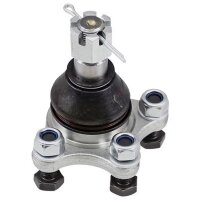 Support and guide joint cone size 20 mm M16X1.5 A.B.S....