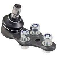 Support and guide joint cone dimension 16 mm A.B.S. for...