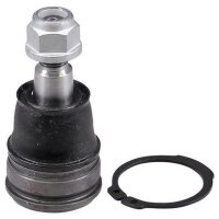 Trag-/Führungsgelenk vorne außen unten A.B.S....