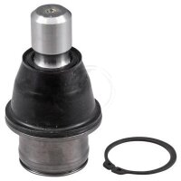 Support and guide joint cone dimension 24 mm Ø 43...