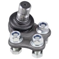 Support and guide joint cone dimension 22 mm A.B.S. for...