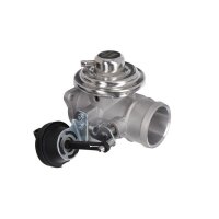 AGR-Ventil Euro 1 pneumatisch VALEO für VW GOLF IV