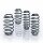 Suspension kit springs 1,105 kg 1,290 kg EIBACH for MB C-CLASS