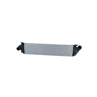 Intercooler 655 mm - 157 mm NRF thermo expertise suitable...