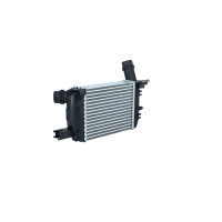 Intercooler heat exchanger principle 256 mm - 218 mm NRF for RENAULT CLIO