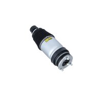 Luftfederbein vorne NRF Thermo-Expertise passend für TESLA MODEL