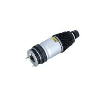 Luftfederbein vorne NRF Thermo-Expertise passend für TESLA MODEL