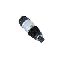 Luftfederbein vorne NRF Thermo-Expertise passend für TESLA MODEL