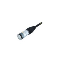 Air suspension strut rear right NRF Thermo suitable for...