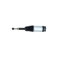 Rear air suspension strut NRF thermo expertise suitable for TESLA MODEL