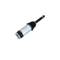 Luftfederbein hinten rechts NRF Thermo passend für TESLA MODEL