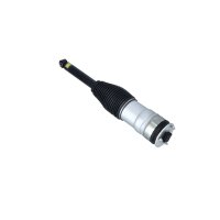 Air suspension strut front left NRF Thermo suitable for TESLA MODEL