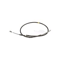 Seilzug Feststellbremse TRISCAN IAM-Expertise für...