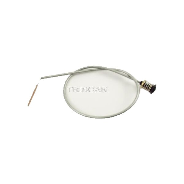 Throttle Cable TRISCAN Aftermarket-Expertise suitable for e.g. RENAULT 9