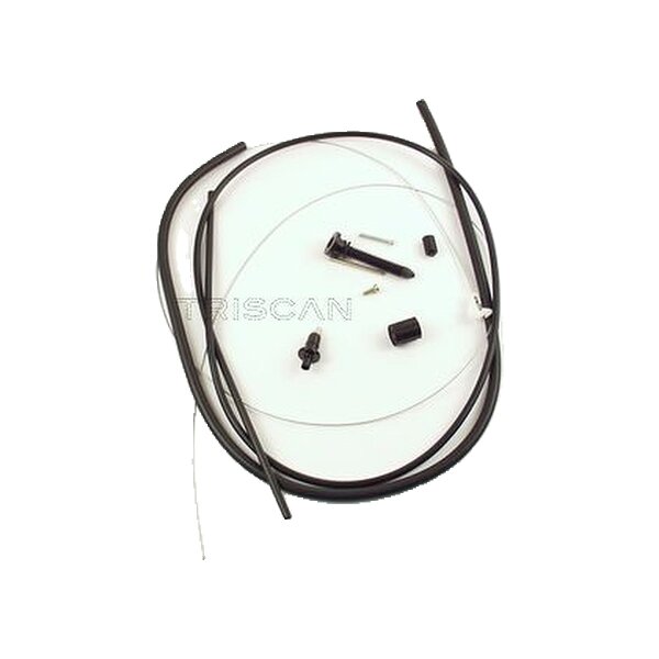 Throttle Cable TRISCAN Aftermarket-Expertise suitable for e.g. RENAULT 19