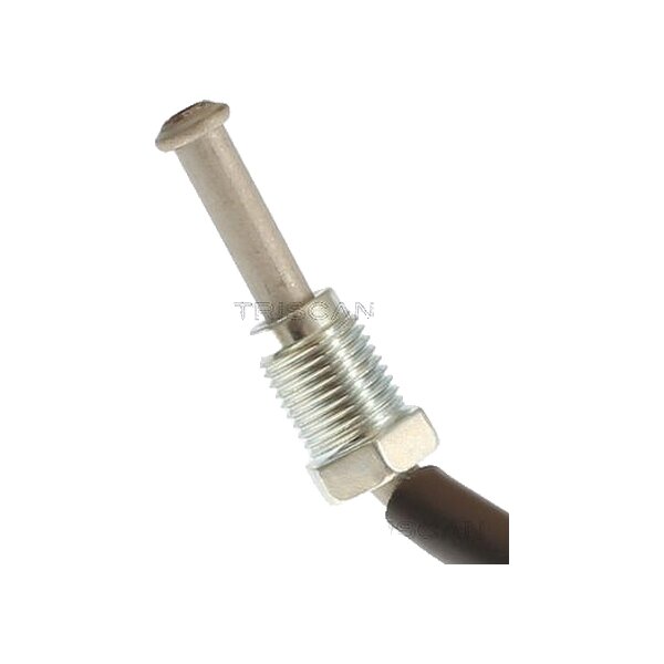 Brake Hose 170 mm M10x1 & M10x1 TRISCAN for e.g. HYUNDAI ix20