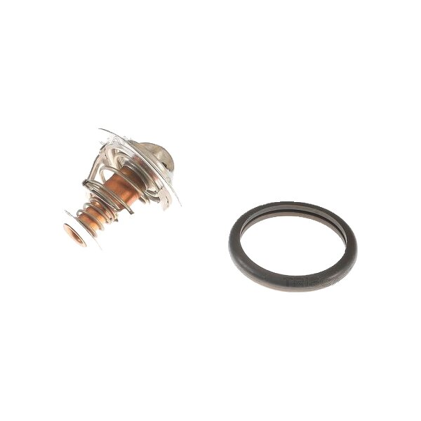 Thermostat Coolant separate Housing 91 °C TRISCAN for e.g. RENAULT LAGUNA