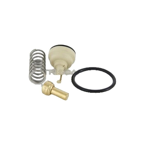 Thermostat Coolant separate Housing 87 °C TRISCAN for e.g. AUDI A3