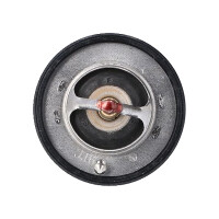 Thermostat Coolant separate Housing 91 °C TRISCAN for...