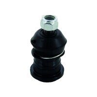 Support And Guide Joint TRISCAN IAM Expertise for e.g....