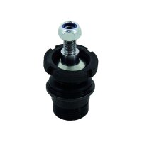 Support And Guide Joint TRISCAN IAM-Expertise for...