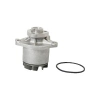 Wasserpumpe Motorkühlung TRISCAN IAM-Expertise...