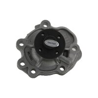 Wasserpumpe Motorkühlung TRISCAN IAM-Expertise...