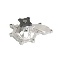 Engine Cooling Water Pump TRISCAN IAM-Expertise suitable...