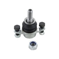 Support And Guide Joint TRISCAN IAM expertise for MINI...