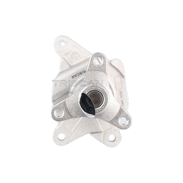 Engine Cooling Water Pump TRISCAN IAM-Expertise suitable for e.g. NISSAN X-TRAIL