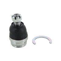 Support And Guide Joint TRISCAN Aftermarket-Expertise for...