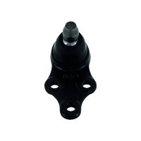 Support And Guide Joint TRISCAN IAM-Expertise for...